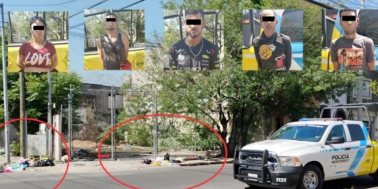 CLAVE NOTICIA - CLAVE NOTICIA Detienen A 5 Personas Por Delitos Ambientales En Monterrey