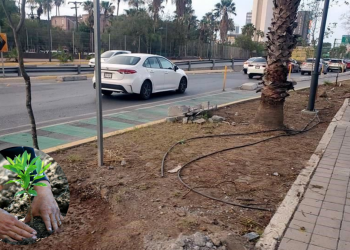 Acción en Monterrey: Buscan Revitalizar Corredor Aramberri