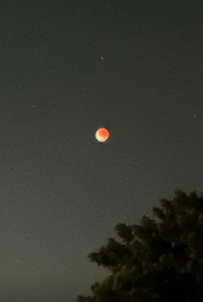 - CLAVE NOTICIA Luna-de-Sangre-eclipse-lunar-total-México-3-de-marzo