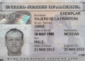 ejemplo de como se ve una visa láser