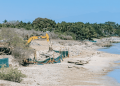 Daño ambiental en Nayarit priva la Protección de tortugas marinas y la naturaleza