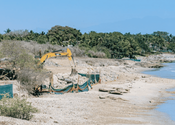 Daño ambiental en Nayarit priva la Protección de tortugas marinas y la naturaleza