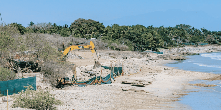Daño ambiental en Nayarit priva la Protección de tortugas marinas y la naturaleza
