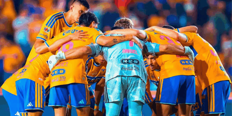 Tigres vs León - Clave Noticia